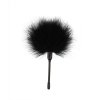 Piórko do łaskotania Pleasure Feather Tickler